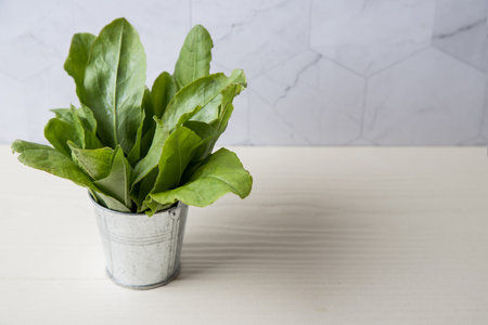 A bunch of garden sorrel spinach leaves in a small bucket on a light background.の写真素材
