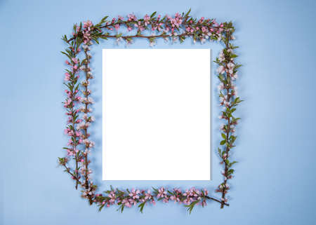 Mockup with flowering branches of fruit trees. Blue background.
