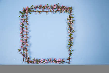 A frame made of flowering branches of fruit trees.の写真素材