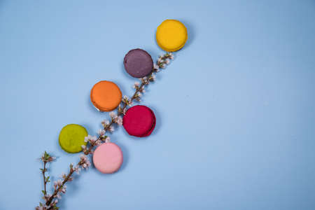 Dessert macaroons on a flowering branch on a blue paper background. Copy spaceの写真素材