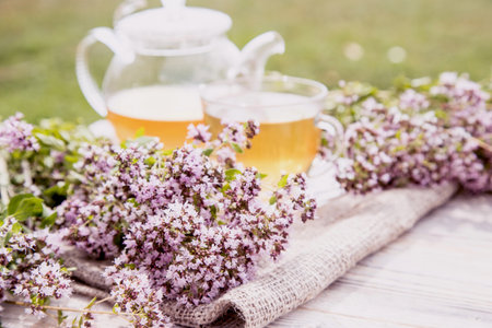 Close-up of oregano grass, in the blur zone - a cup of tea and a teapot with oregano tea.の写真素材