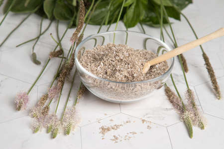 Close-up of psyllium superfood in a transparent plate with a wooden spoon against the background of...