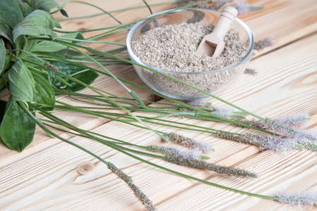 Psyllium leaves and stems with a transparent plate with the husk of plantain seeds on a wooden...