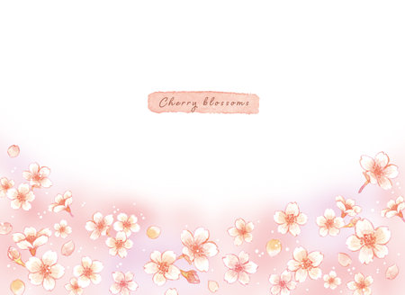 Watercolor Cherry Blossom Frame Illustration Setの写真素材
