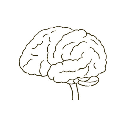 Medical Medical illustration of the brain with a simple touch.のイラスト素材