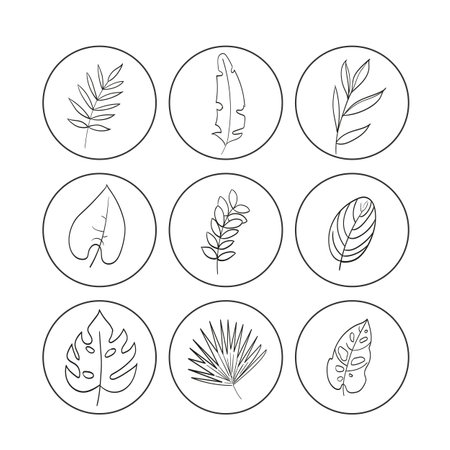 Leaves of tropical plants in a hand-drawn style. Set of icons for highlights, templates for blog and social mediaのイラスト素材