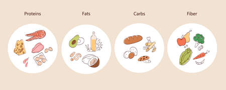 Vector illustration of micronutrients. Icons are fats, proteins, fiber, carbohydrates. Dieting, healthy eating concept.のイラスト素材