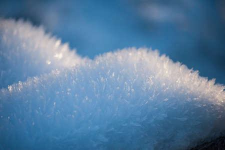 Beautiful closeup of ice crystals in sunlight at sunrise