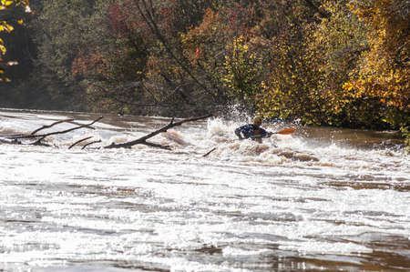 Autumn landscape with river and man with kayak ride down the river rapids in Latvia
