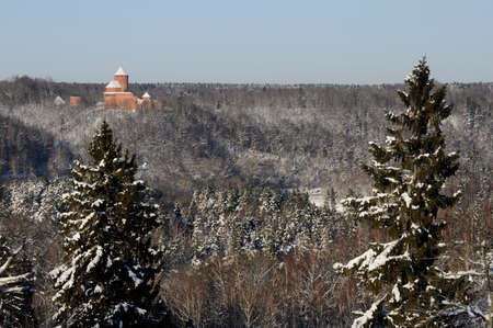 Winter landscape with castle in sunny dayの写真素材