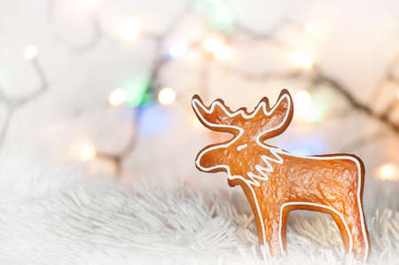 Delicious homemade gingerbread cookie in shape of moose and Christmas lights in white backgroundの写真素材