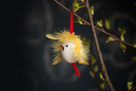 Easter egg with chicken face and yellow wings of feather for decorationの写真素材