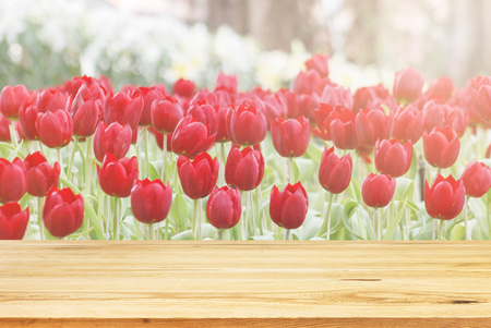 Wood table top on unfocused colorful flower background - can used for display or montage your productsの写真素材
