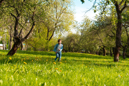 Happy boy running along green lawn to cameraの写真素材