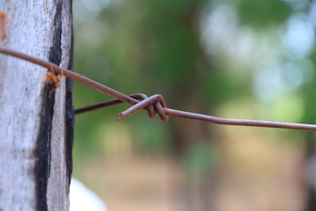 Rusty old fences of barb wire の写真素材