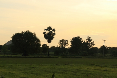 Beautiful Twilight Sunrise Scene at Countryside filed with Cloudy Sky の写真素材