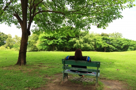 Lawn in City Square の写真素材