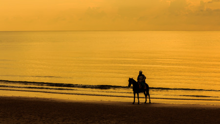 Man with Horse on Seacoast の写真素材