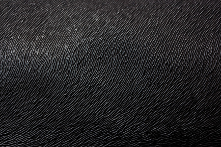 Black Leather Texture Background の写真素材
