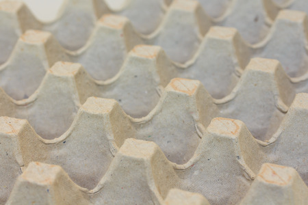 Empty Egg Container の写真素材