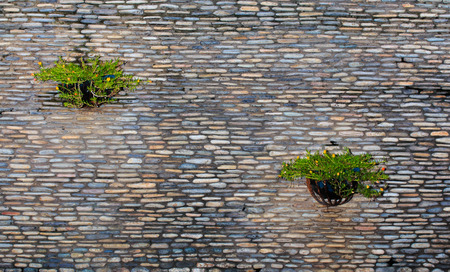 Hanging Basket of Flower on Stone Wall の写真素材