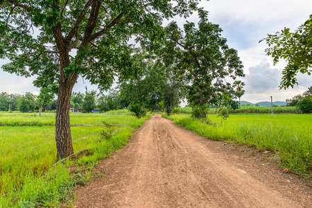 Dirt road in countryside.の写真素材