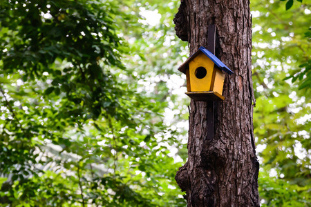 Colorful birdhouse on the tree.の写真素材