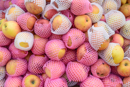 Apples with protection.の写真素材