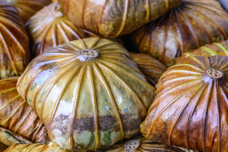 Thai traditional rice warpped with lotus leaf, use natural material.の写真素材