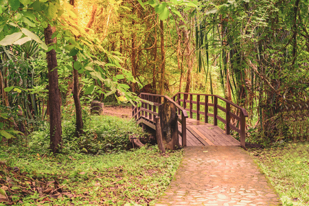 Wooden bridge over rill forest in naltional park.の写真素材