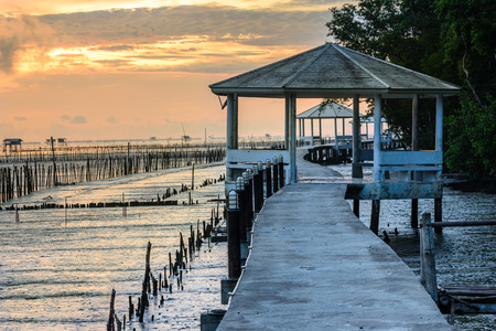 Cement walkway and pavilion nature trail mangrove forest.の写真素材