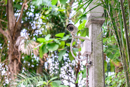 Security camera for monitoring travel place.の写真素材