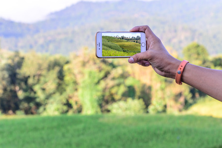 Photo shooting of rice field landscape with smartphone.の写真素材