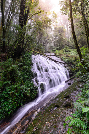 Beautiful waterfall in deep forest in Chiang Mai, Thailand.の写真素材