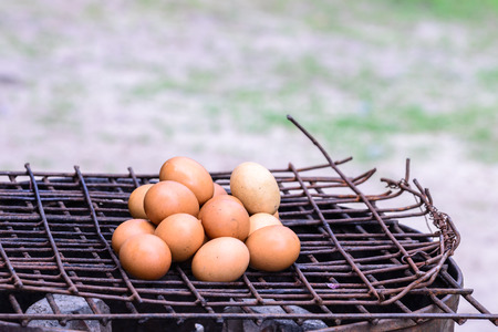 Preserved Egg, grilled eggs.の写真素材