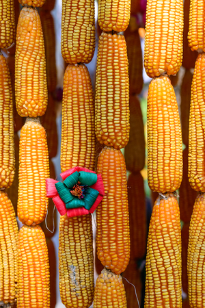 Beautiful flower made from corncob, Thai handcraft product.