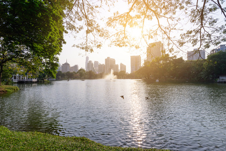 Beautiful urban lake in middle of Bangkok city.の写真素材