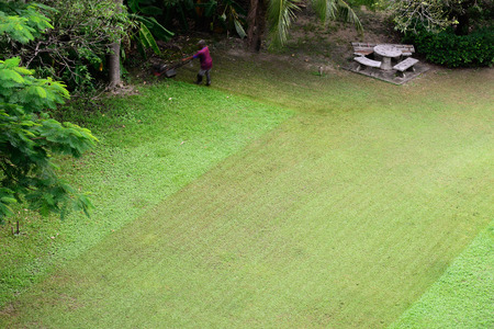 Track of mowing lawn with motion blurred of gardener at home garden.の写真素材