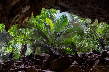 Collapsed cave and pinrata tree, similar to Jurassic world.の写真素材