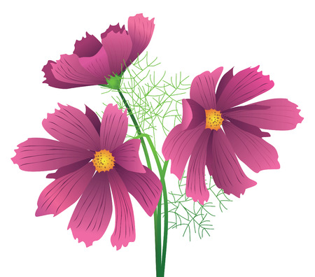 Beautiful vector flower for designのイラスト素材