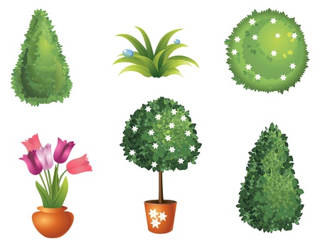 Set of garden plants with flowers and leaves のイラスト素材