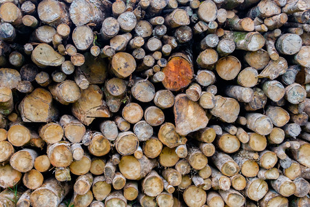 Pile of logs for wood texture background.