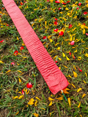 Red firecrackers on the lawn.の写真素材