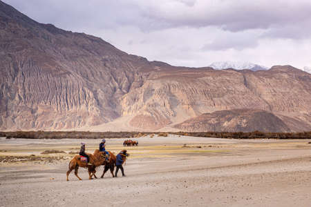 LADAKH, JAMMU AND KASHMIR, INDIA - APRIL 30, 2019: Tourist riding on camels at Hunder Sand Dunes,...