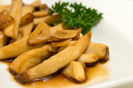 Royal oyster mushroom with sauce on plate closeup の写真素材