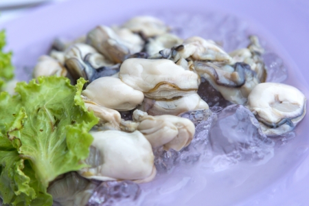 Fresh oysters ready to serve の写真素材