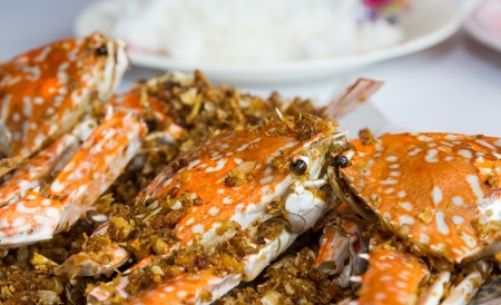 Fried crabs with garlic and rice の写真素材