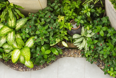 Small decoration garden on top view の写真素材