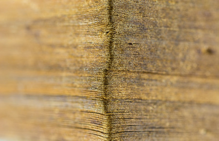 Macro sheet rounder the conner of the old paper 
