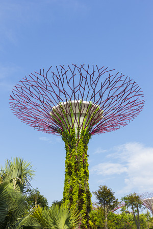 Singapore - October 23, 2014: Gardens by the Bay brings to life vision of creating a City in a Garden. The Gardens captures the essence of Singapore with the perfect environment in which to live and workのeditorial素材
